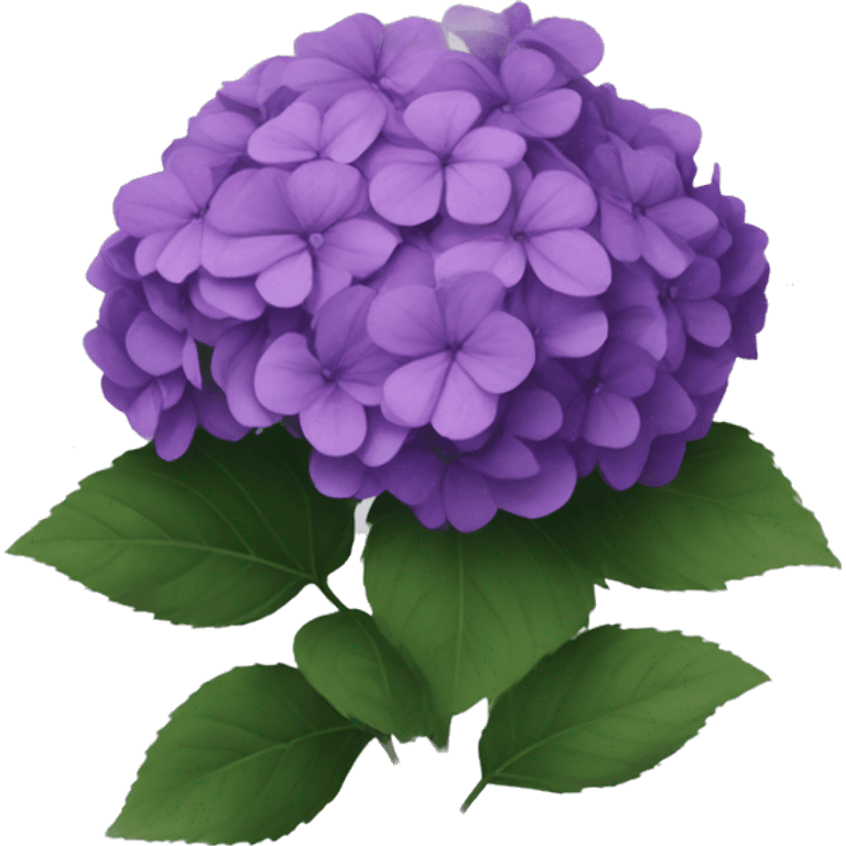 Dark purple hydrangea emoji