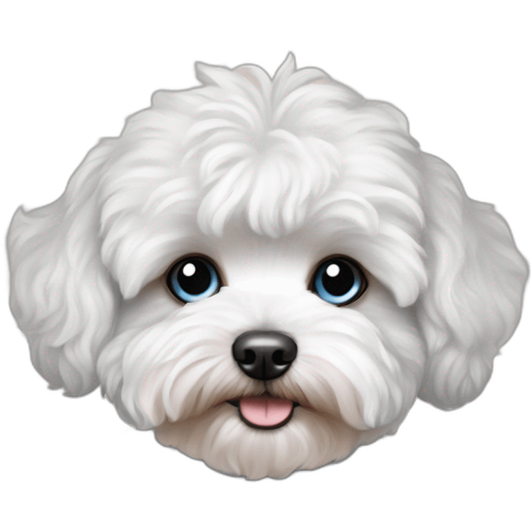 blue eyed maltipoo emoji