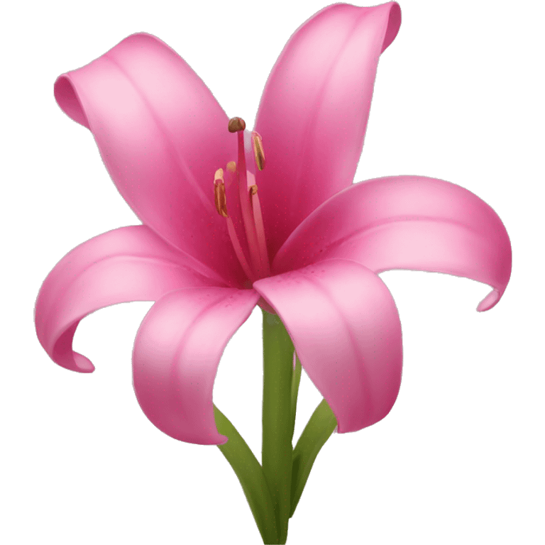 Pink Lillys  emoji