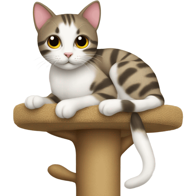 Cat on a cat tree emoji