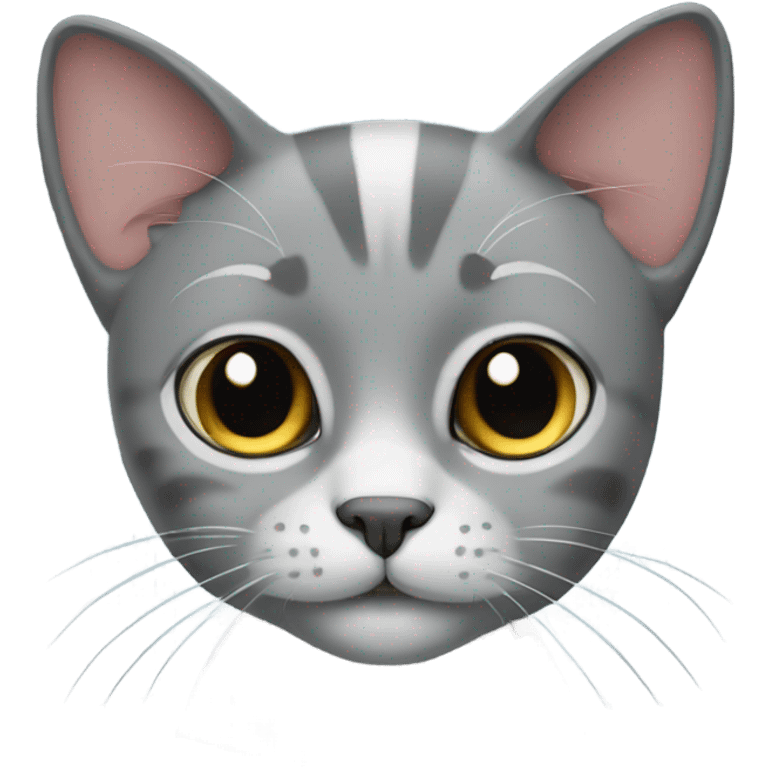 Gray fold cat  emoji