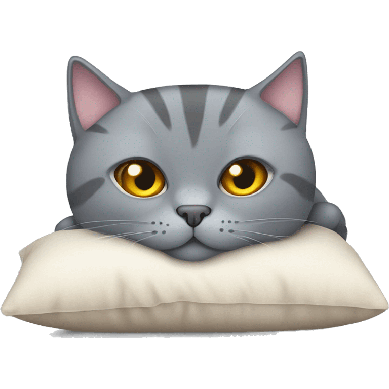 Scottish grey cat laying on the pillow emoji