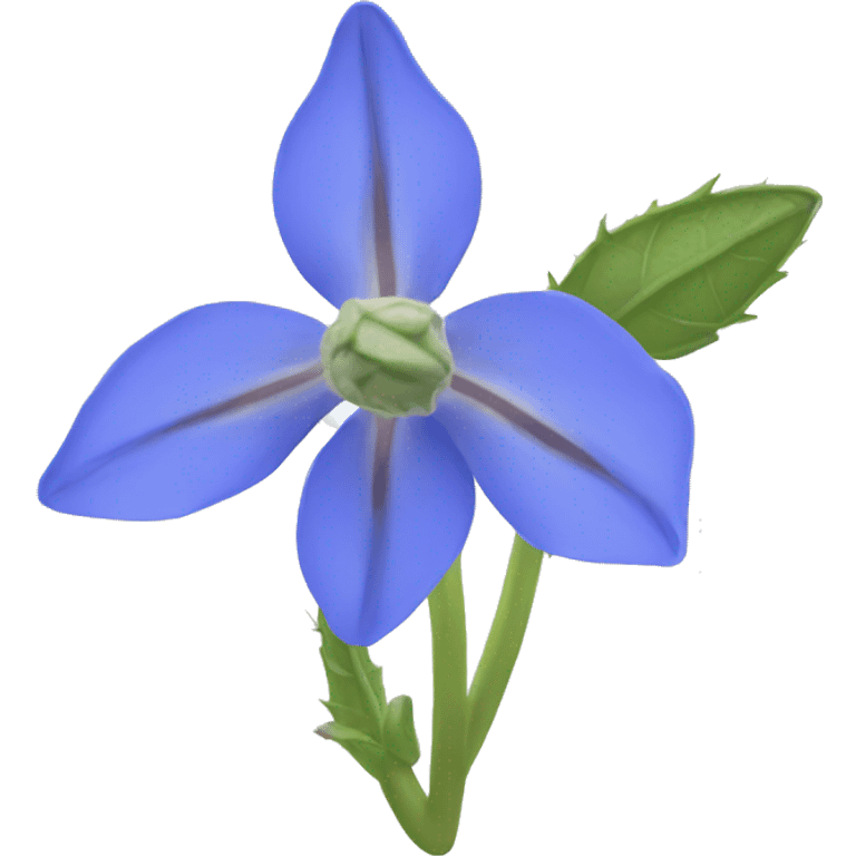 borage flower no leaves emoji