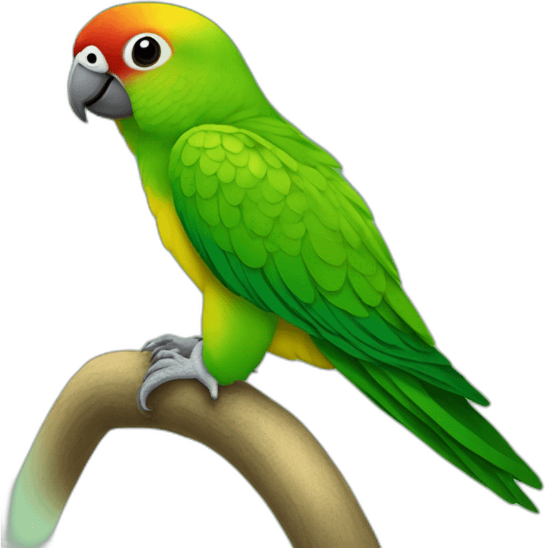 Une conure molinae à joue verte emoji