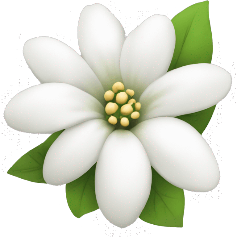 coquette white flower emoji