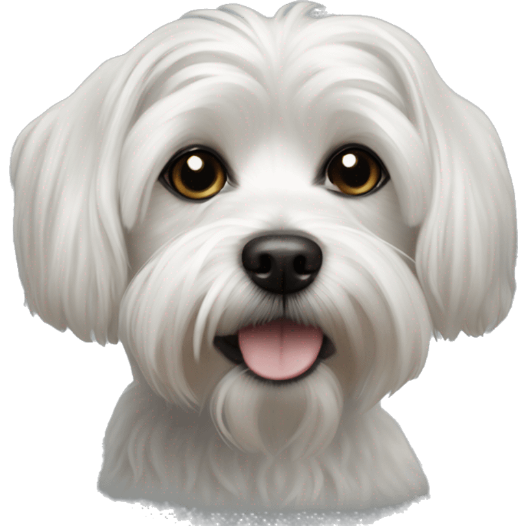 realistic dog portrait close-up black maltese emoji