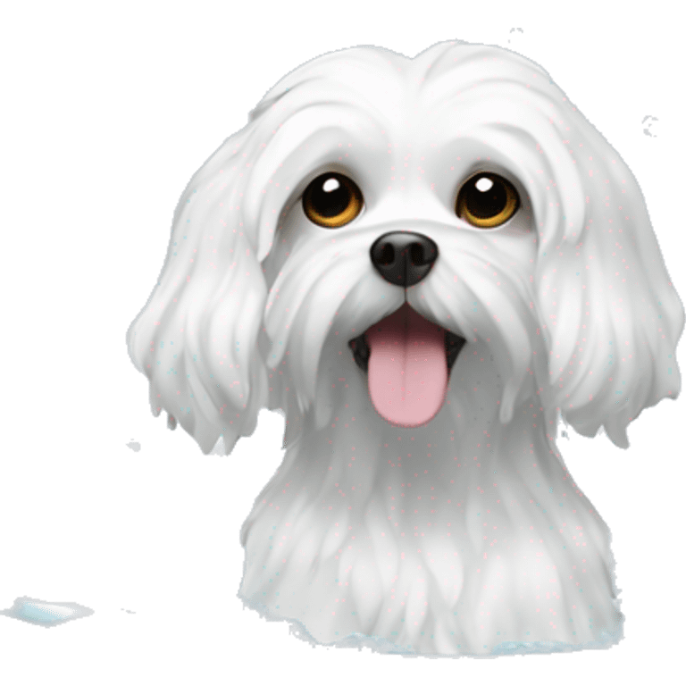 Maltese dog in a bath with bubbles  emoji