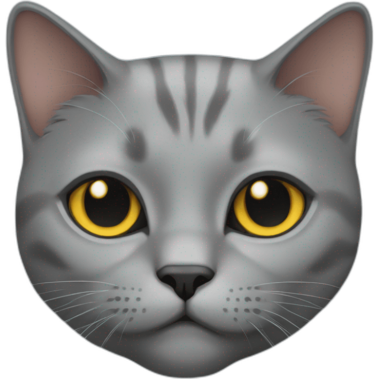 gray british cat emoji