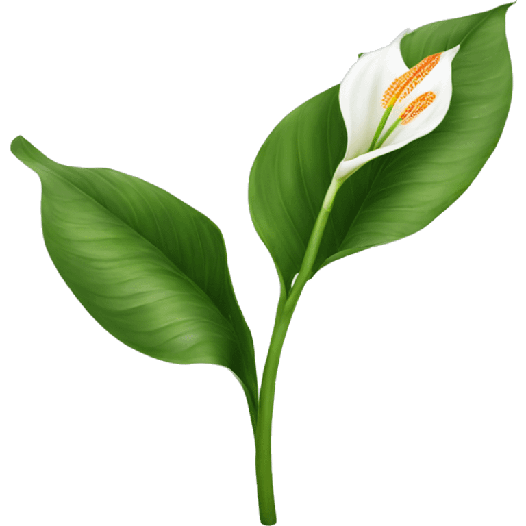 Peace lilies flower emoji