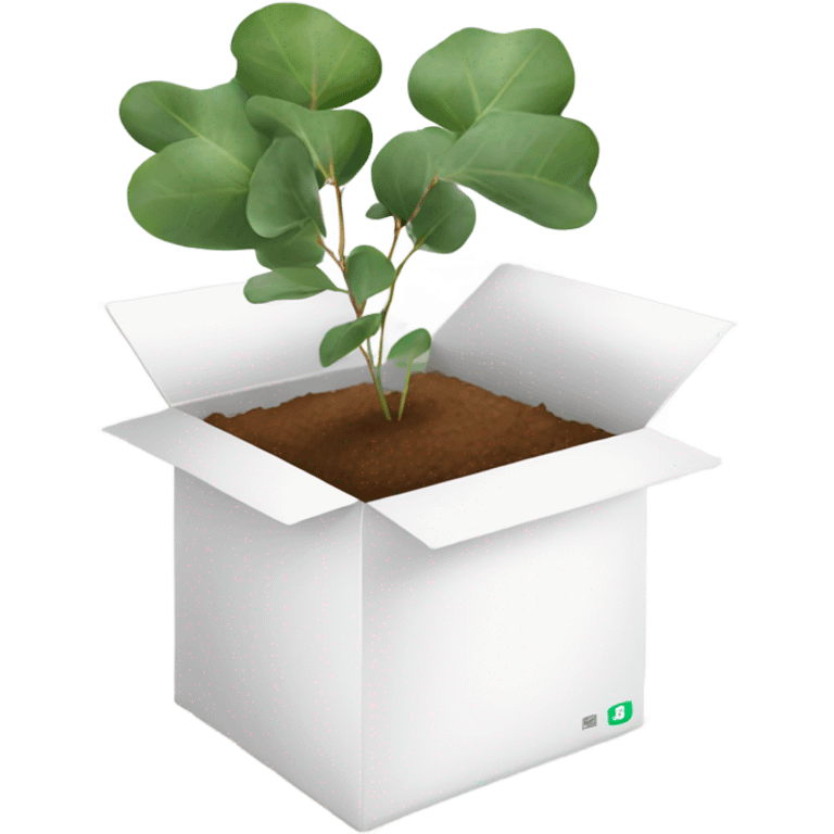 eucalyptus inside white box  emoji