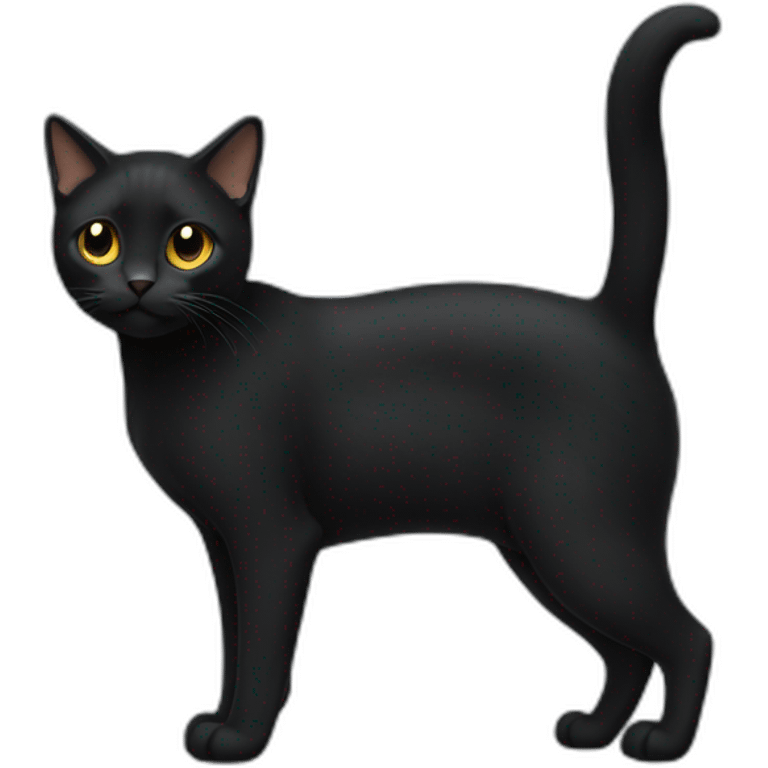 tailless-black-cat-body emoji