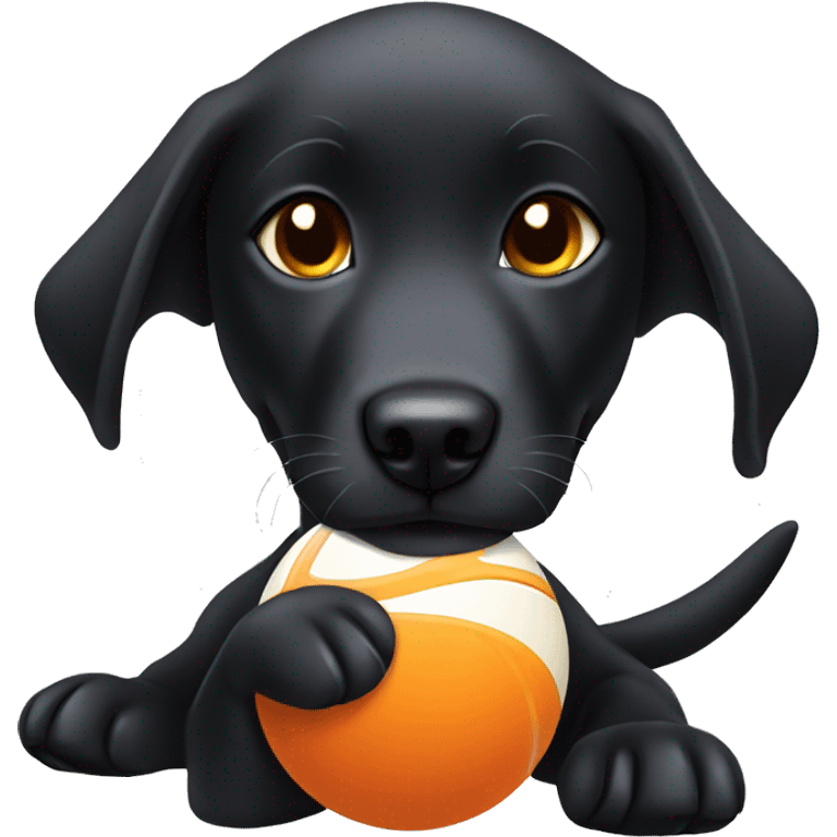 Black lab playing with orange ball emoji