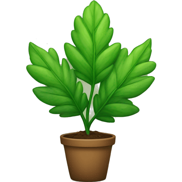 5 leaf plant  emoji