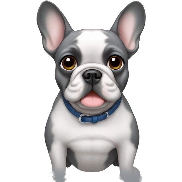 French bulldog of gray color emoji