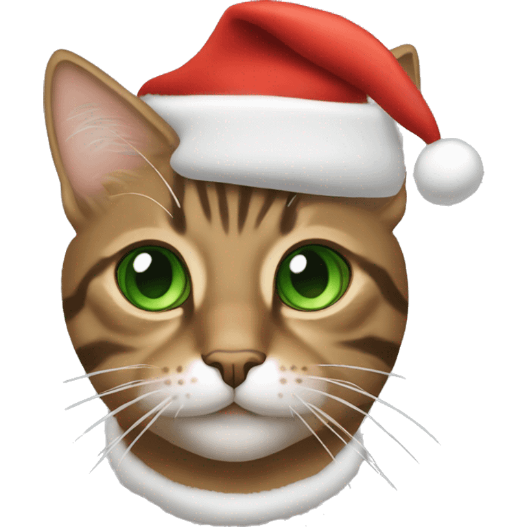 brown tabby cat with green eyes with a santa hat on emoji