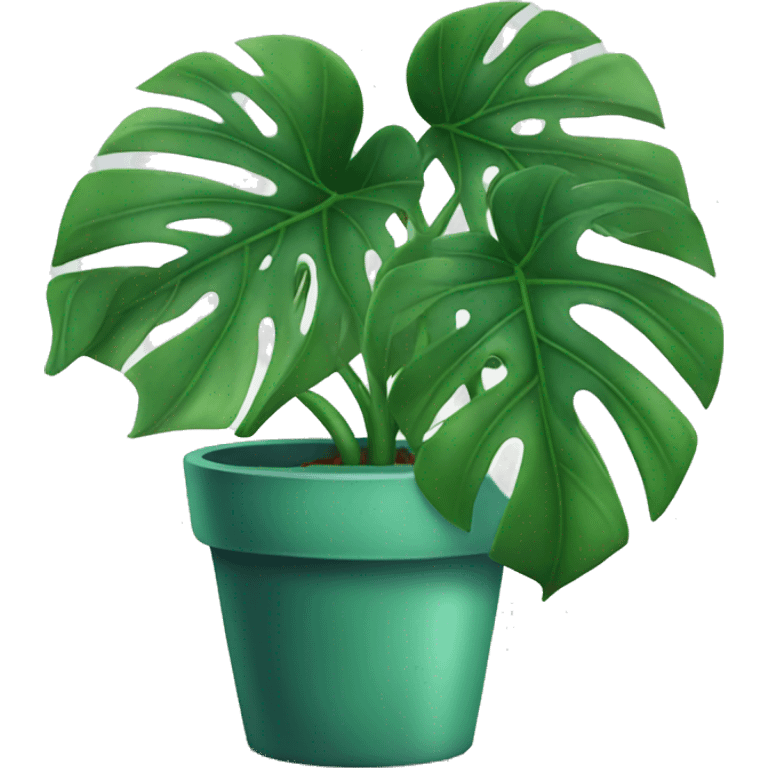 Monstera plant emoji