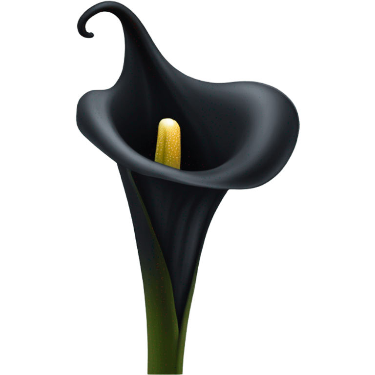 black calla lilly flower emoji