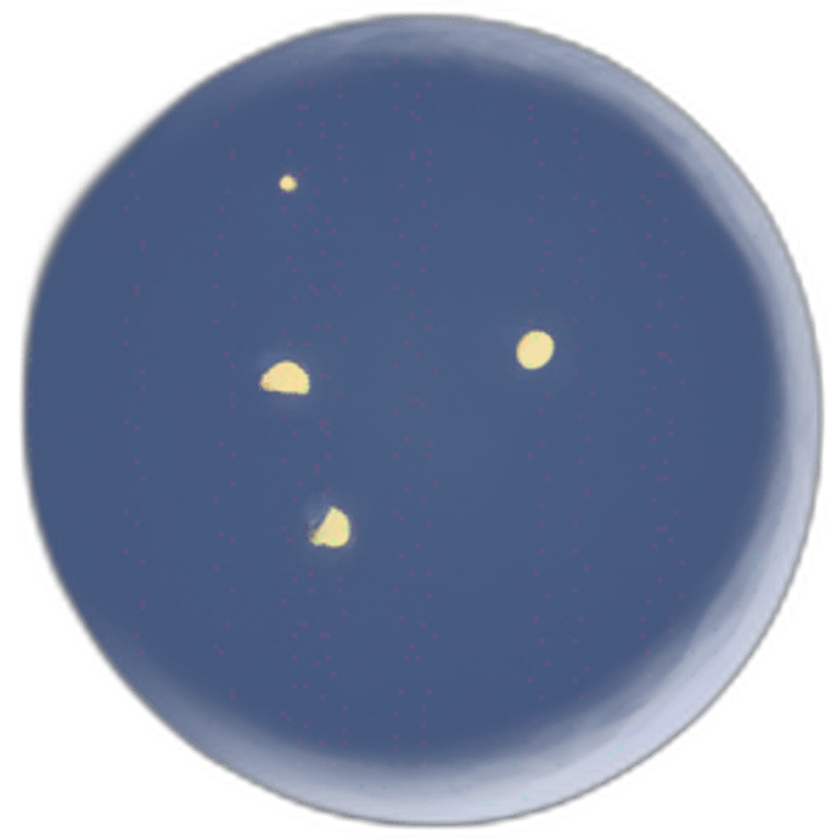 Night sky with moon emoji