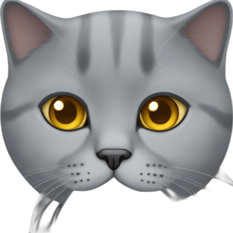 british shorthair cat emoji