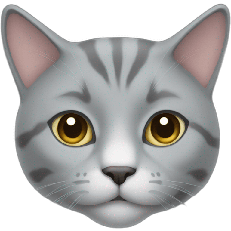 middle grey cat emoji