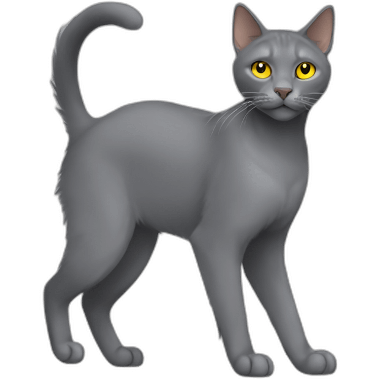 fluffy grey korat breed cat with yellow eyes black pupils, walking and playing female side view emoji