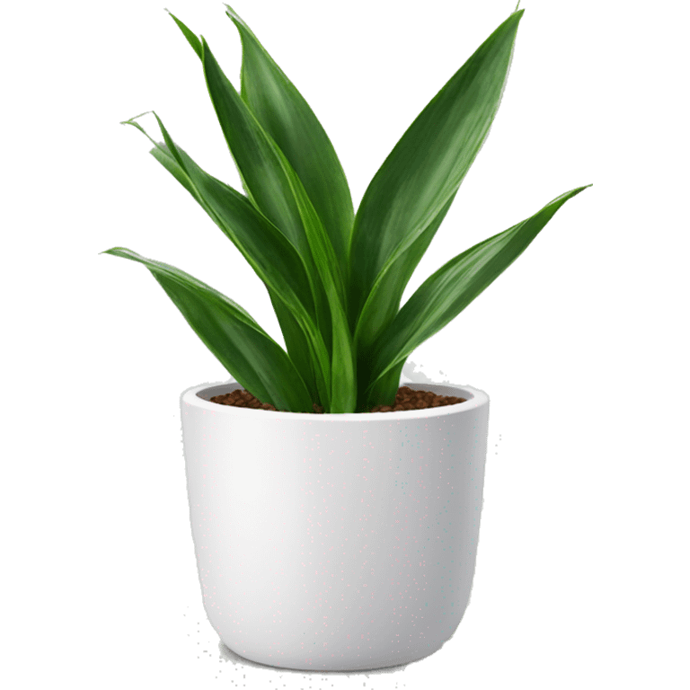 Snake plant in white pot emoji