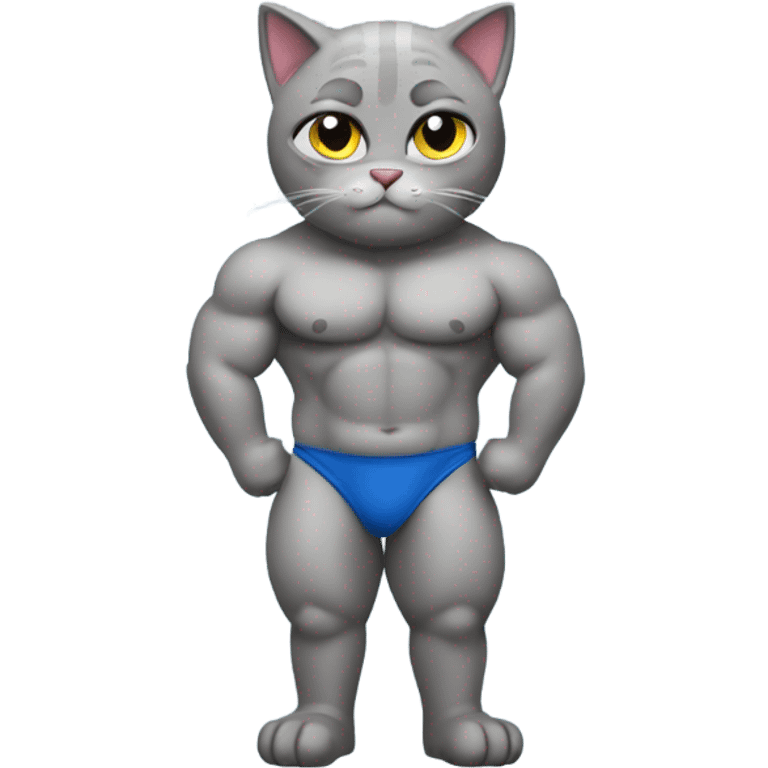 Body builder Grey cat in a speedo emoji