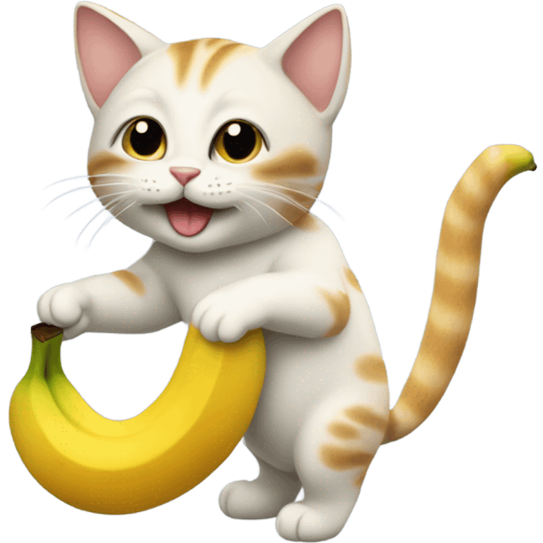 cat with banana emoji