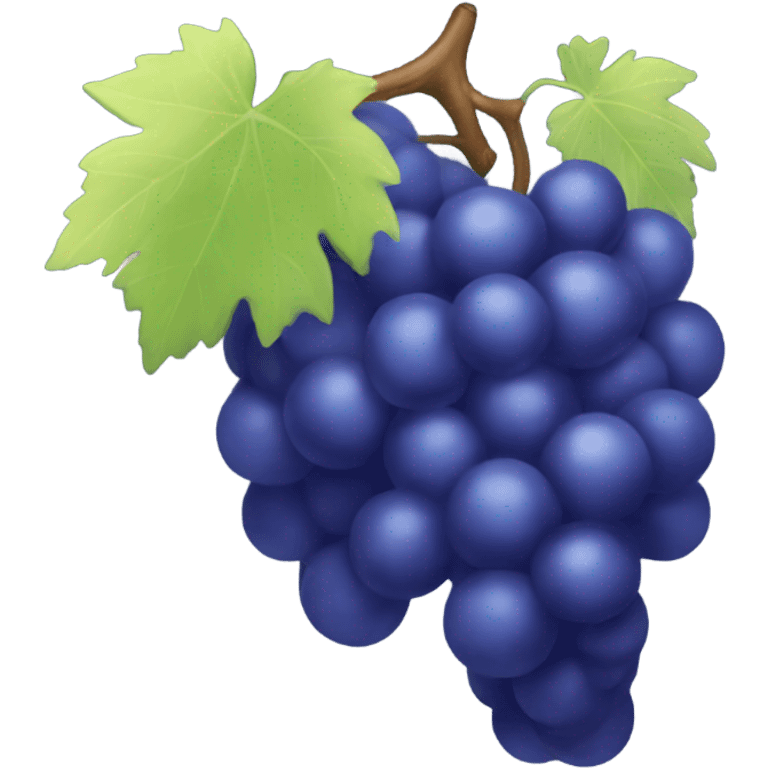 blue grapes emoji