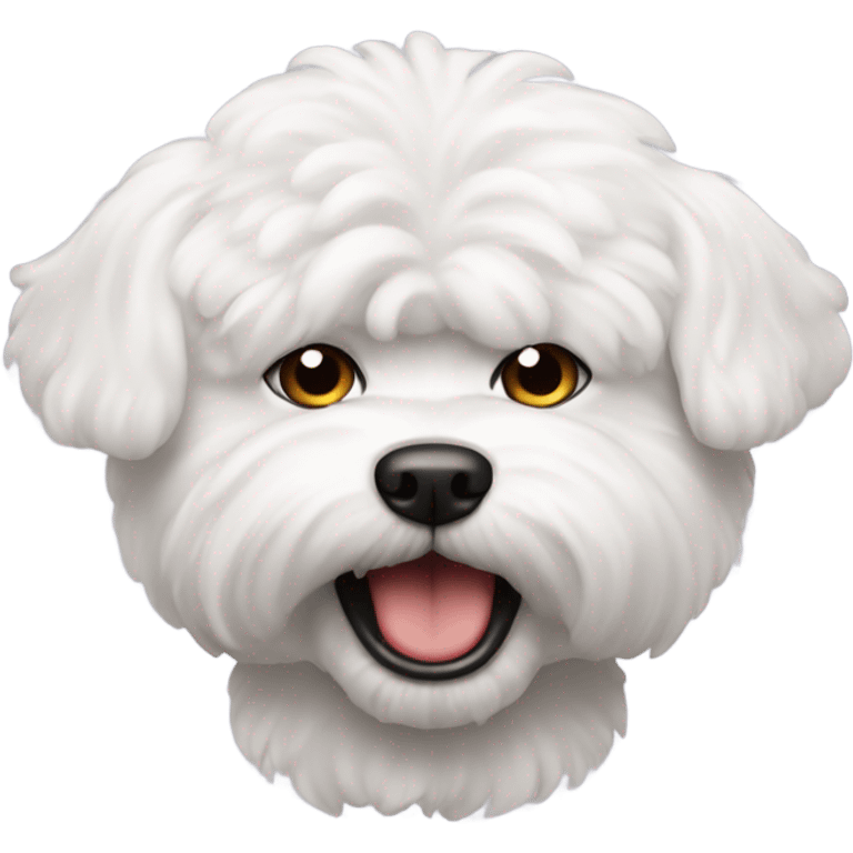 An angry bichon face emoji