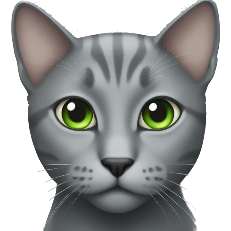 grey cat green eyes  emoji