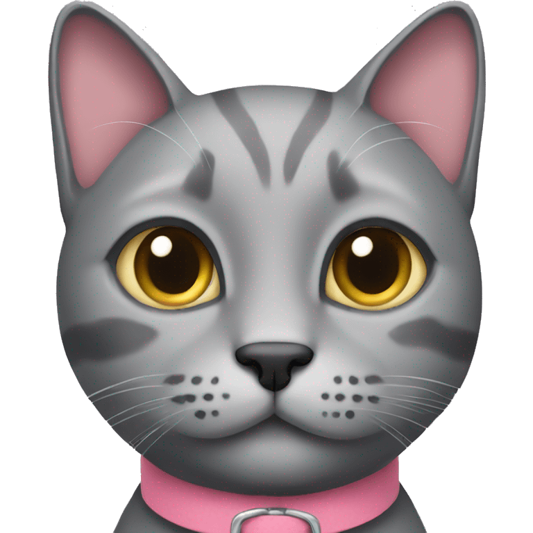 Gray cat with pink collar emoji