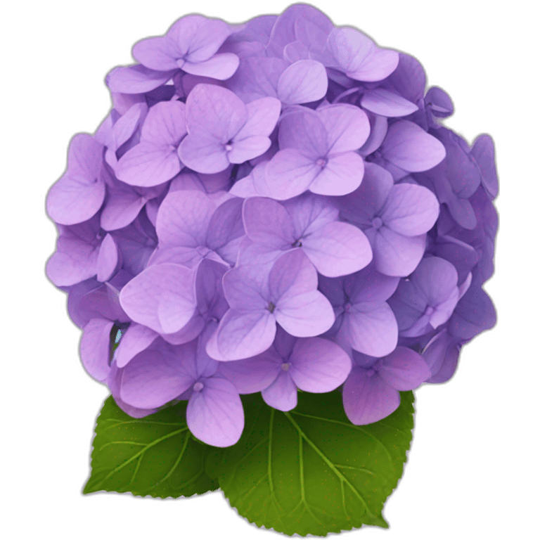 Hydrangea  emoji