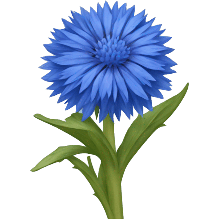 cornflower emoji