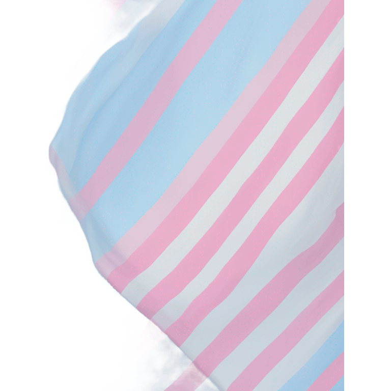 transgender pride flag with five horizontal stripes: light blue, pink, white, pink, and light blue emoji