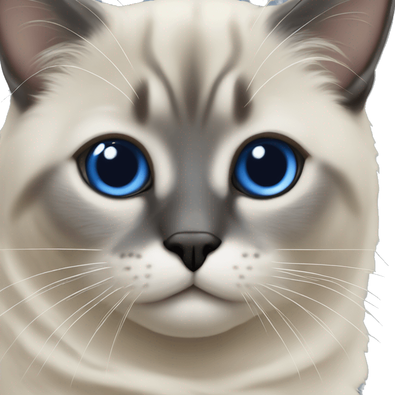 Chat sibérien seal point yeux bleus emoji