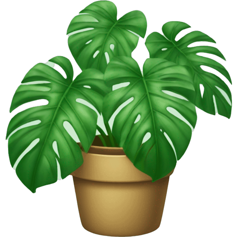 Monstera plant emoji