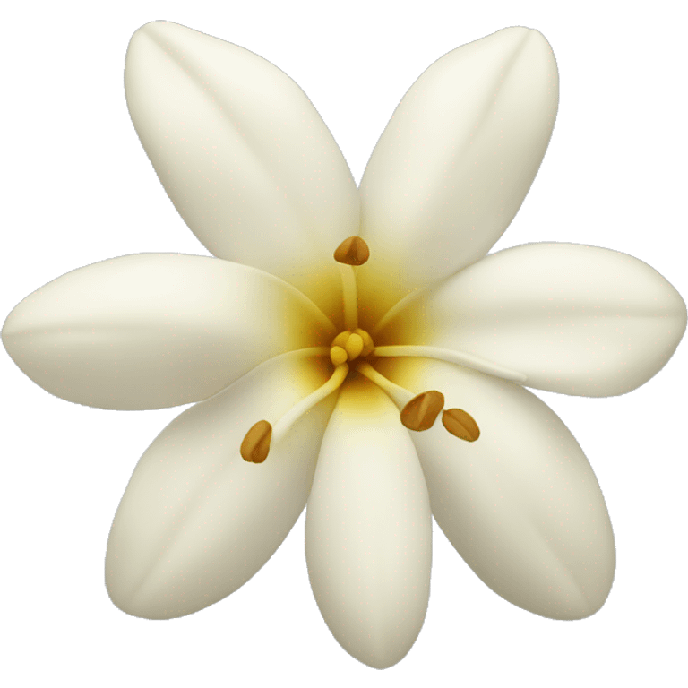 vanilla flower  emoji