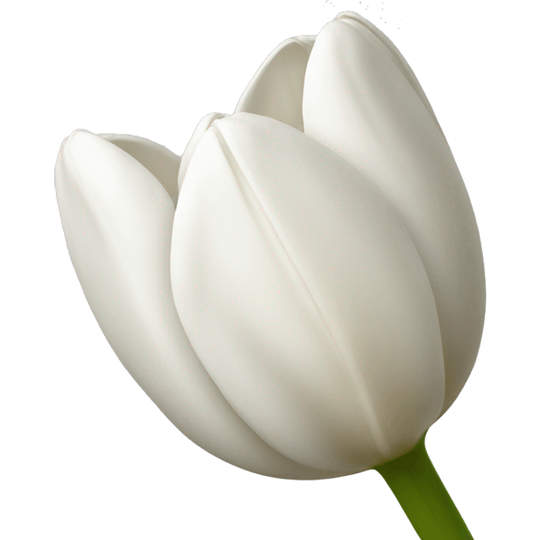 White tulip emoji