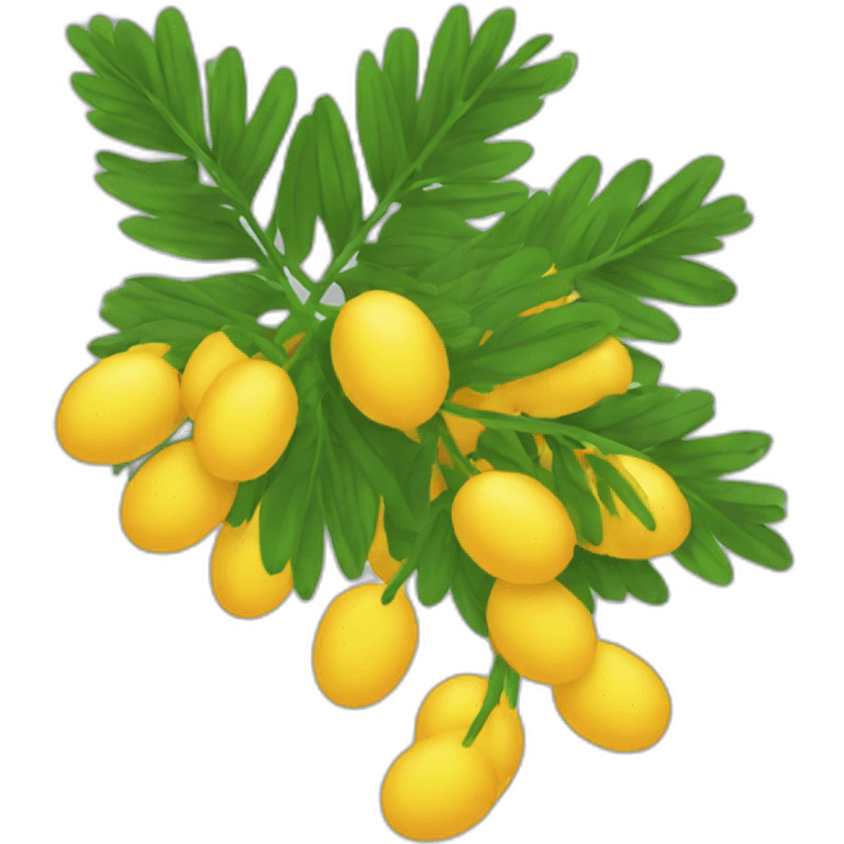 mimosa emoji