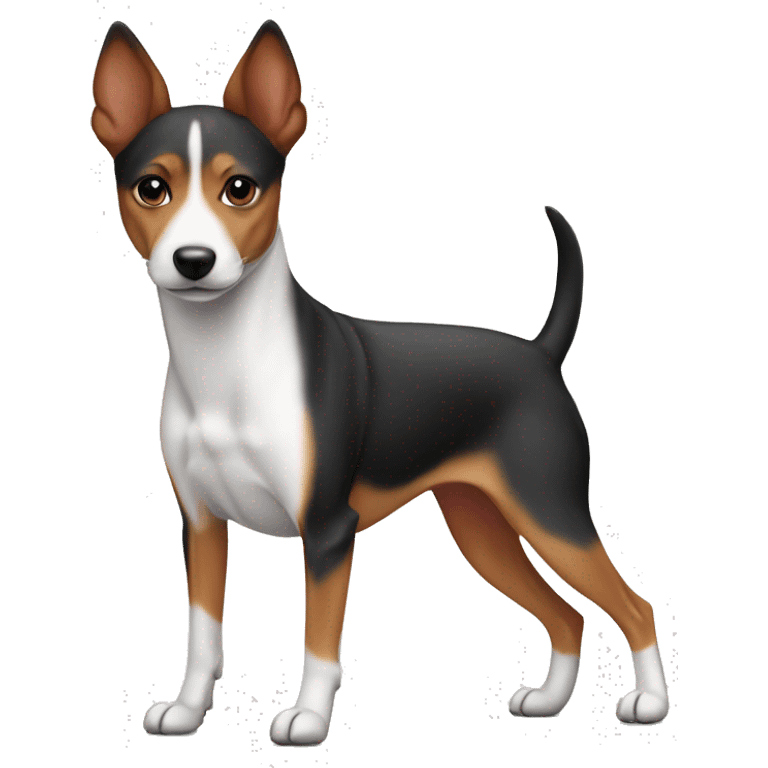 Basenji tricolor young skinny boy emoji