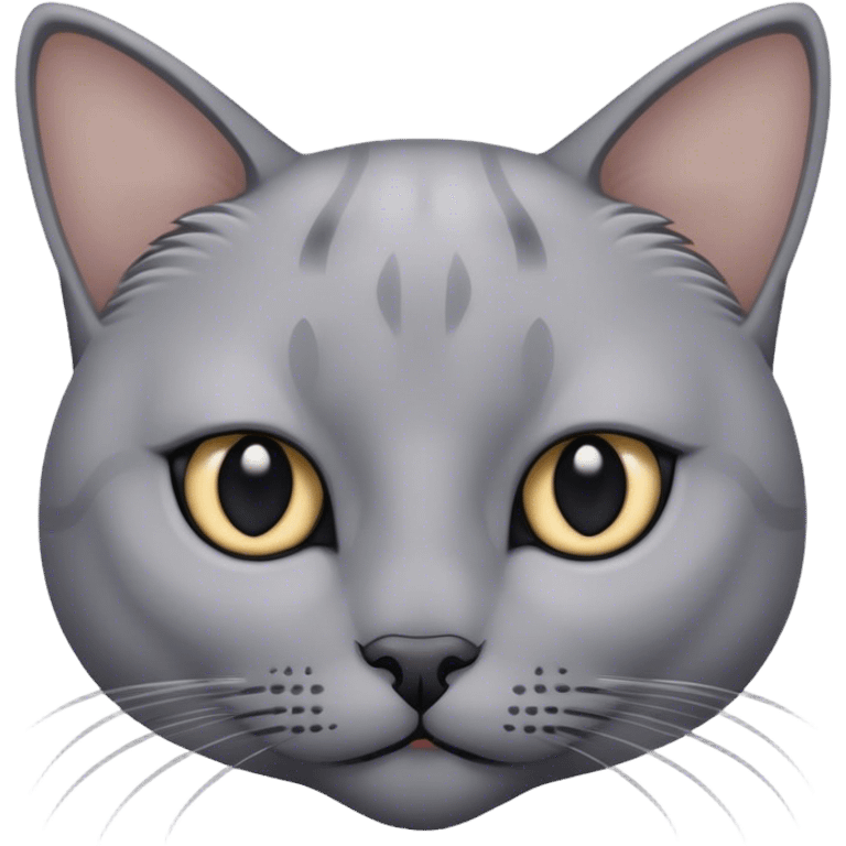 Grey cat with black eyelids and only outlines of pupils emoji