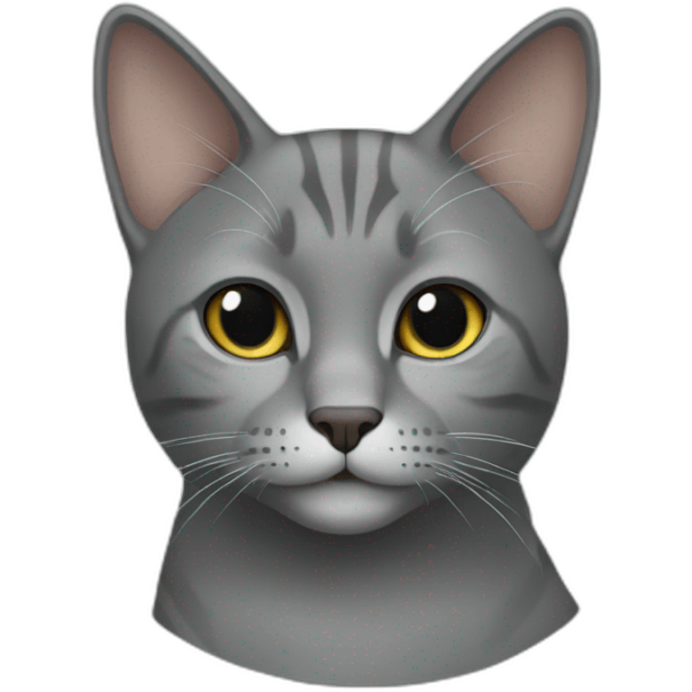 Grey cat no stripes emoji