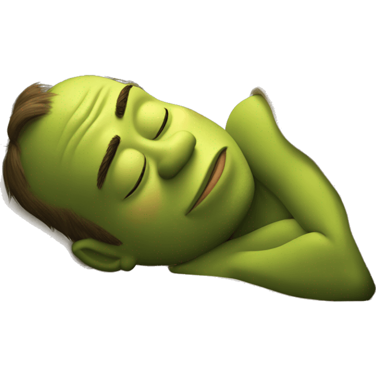 Shrek sleeping emoji