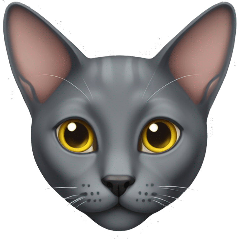 Korat cat emoji