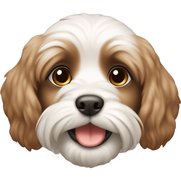 the puppy of the Maltese breed is brown in color emoji