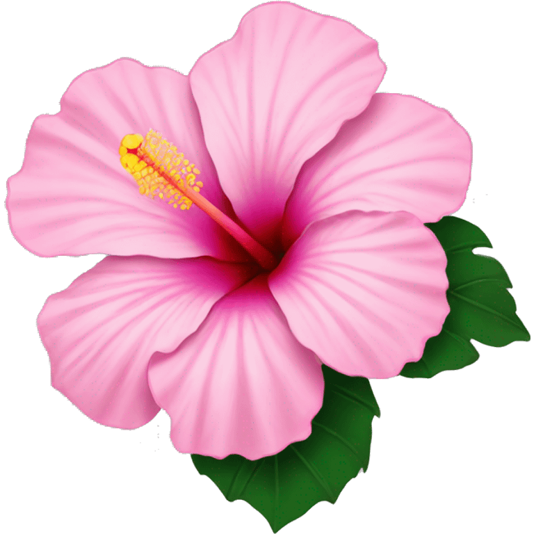 Pink Hibiscus Flower emoji