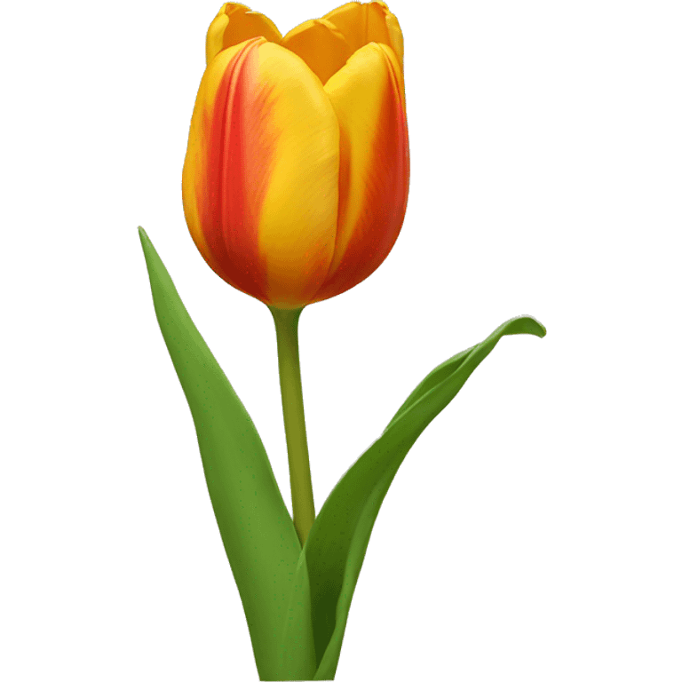 Tulip emoji