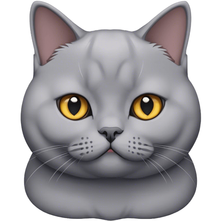 Graue british shorthair car emoji