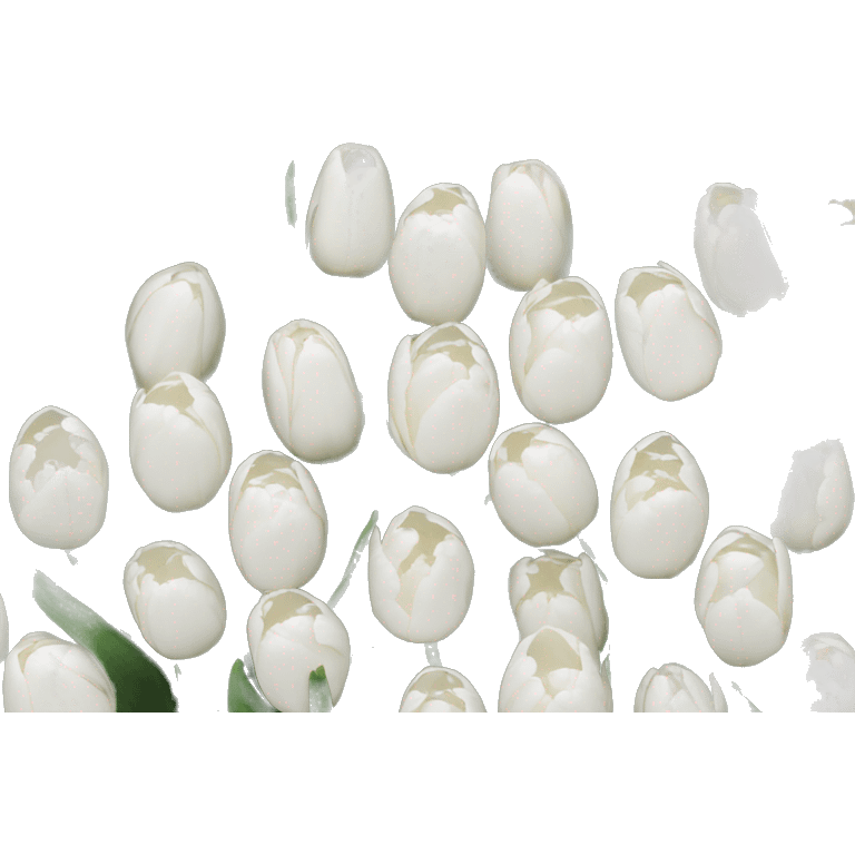 White tulips emoji